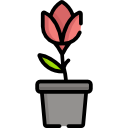 tulipán icon