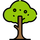 Árbol icon