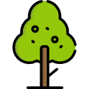 Árbol icon