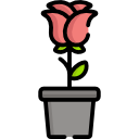 rosa icon