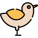 pollo icon