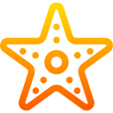 estrella de mar icon