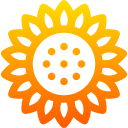 girasol