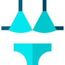 bikini icon