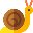 caracol