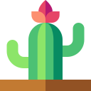 cactus icon