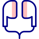 auricular