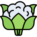 coliflor icon