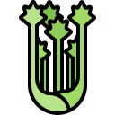 apio icon