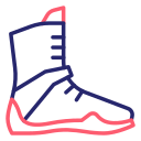 bota icon