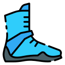 bota icon