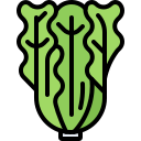 lechuga icon