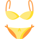 bikini icon