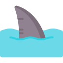 tiburón icon