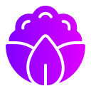 Cauliflower icon