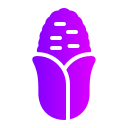 Corn icon