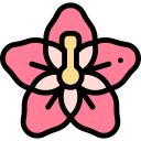 hibisco icon