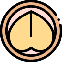 macadamia icon