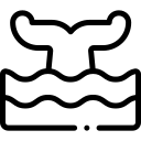 Кит 