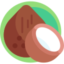 coco icon