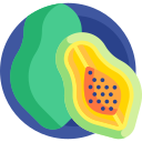 papaya icon