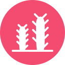 cactus icon