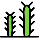 cactus icon