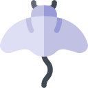 manta raya icon