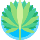 hoja icon