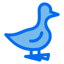 pato icon