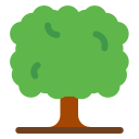 Árbol