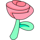 rosa 