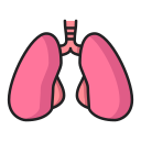 pulmones icon