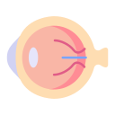 ojo icon