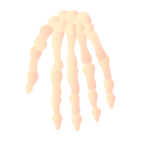 huesos de la mano icon