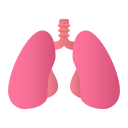 pulmones icon