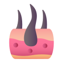 epidermis icon