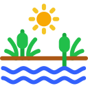 pantano