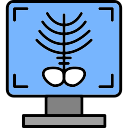 X ray 