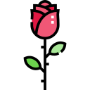 rosa icon