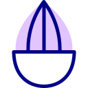 almendra icon