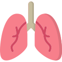 pulmones icon