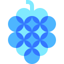 uvas icon