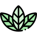 naturaleza icon