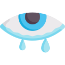 ojo icon