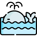 ballena icon