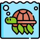 tortuga icon