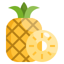 piña icon