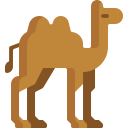 Верблюд 