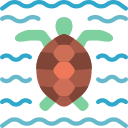 tortuga icon